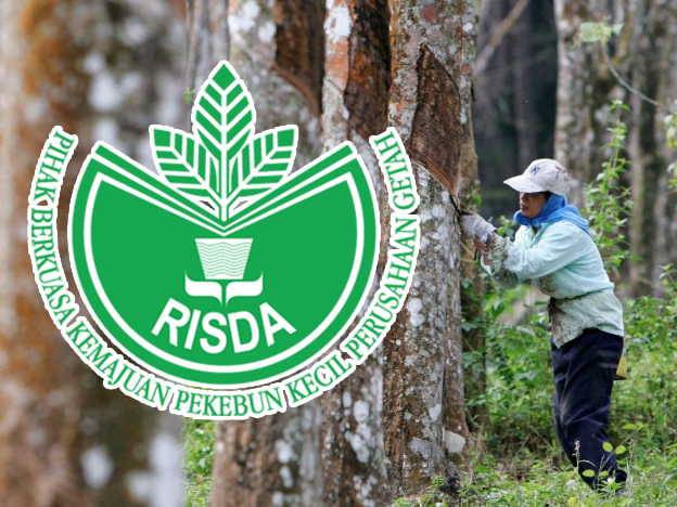 Risda peruntuk RM508.02 juta untuk pekebun kecil getah
