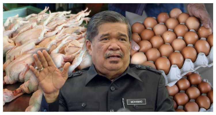 mohamad sabu, ayam, telur