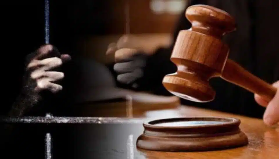 Ancam Keselamatan Perdana Menteri, Pemandu Lori Dipenjara 6 Bulan