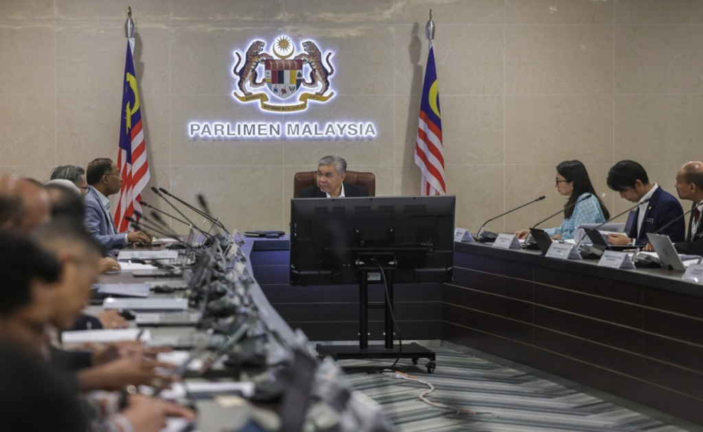 Pengisian Program Rakan Muda Perlu Dijadikan Agenda Nasional - Ahmad Zahid